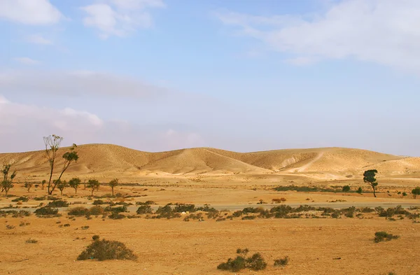 イスラエルのネゲヴ砂漠. — ストック写真