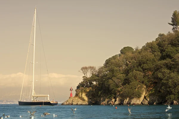 Portofino. — Stok Foto