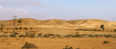 Negev Çölü İsrail (panorama).