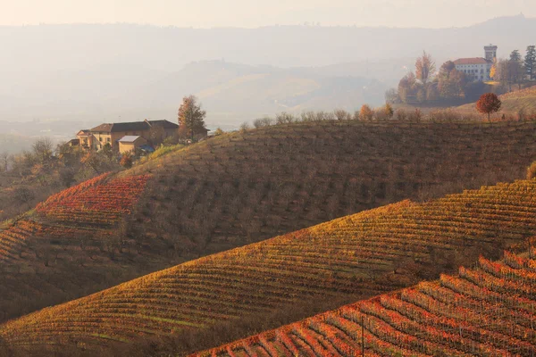 Kullar och vinodlingar på hösten. Piemonte, norra Italien. — Stockfoto