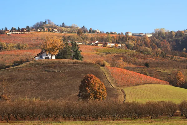 小山和皮埃蒙特在秋季的葡萄园。意大利北部. — 图库照片