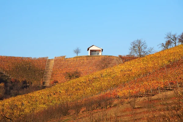 Kullar och vinodlingar på hösten. Piemonte, norra Italien. — Stockfoto