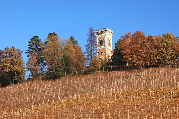小山和皮埃蒙特在秋季的葡萄园。意大利北部. — 图库照片