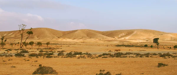 Negev 砂漠 （パノラマ). — ストック写真