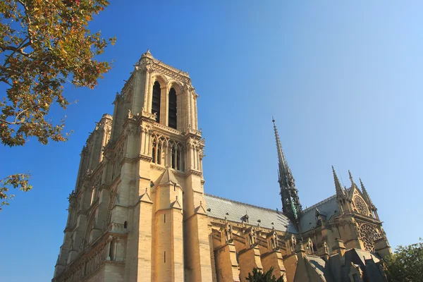 Kathedrale Notre-Dame de Paris. — Stockfoto