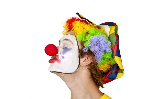 Colorful Clown — Stock Photo, Image