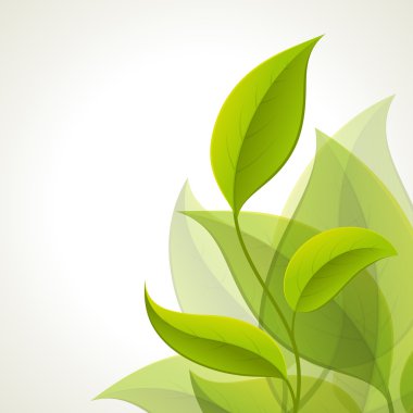 Green leaves. clipart