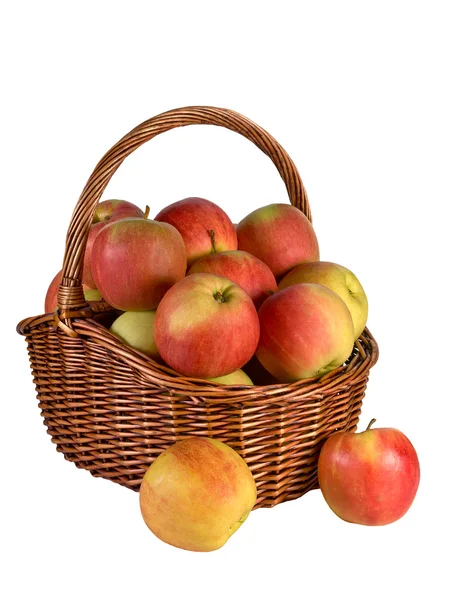 stock image Apples in the basket