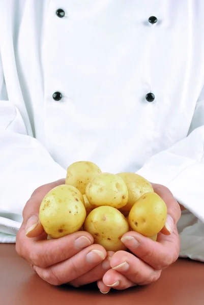 Vrouwelijke chef-kok met een paar jonge aardappelen in haar hand — Stockfoto