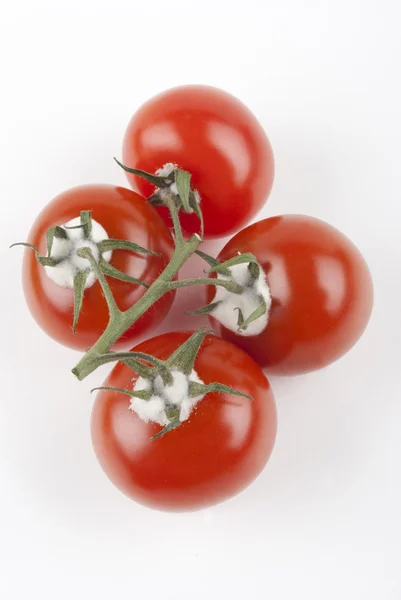 Los mohos en los tomates pueden causar cáncer de hígado — Foto de Stock