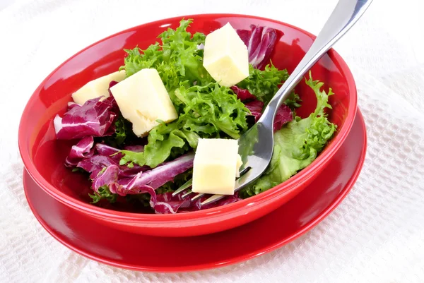 Mixed leaf salad with fresh cheese ready to eat and a fork — Stock Photo, Image