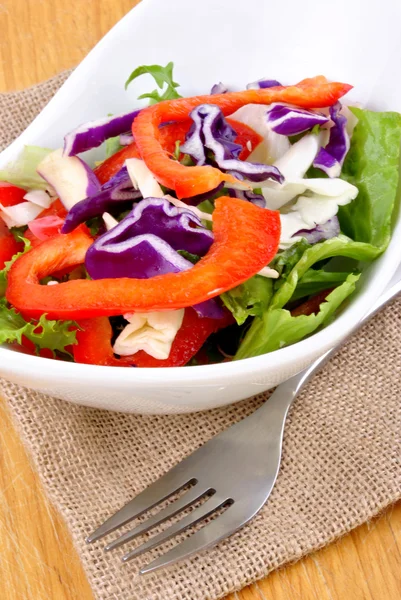 Seasonal salad in a white bowl ready to eat and a fork — Stock Photo, Image