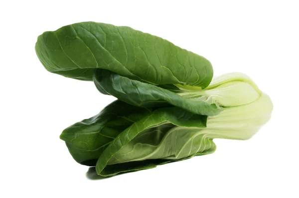 Pok Choi freshly cleaned on a bright background — Stock Photo, Image