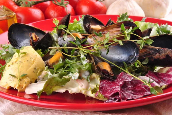 Cooked mussels with garlic butter sauce and thyme on fresh salad — Stock Photo, Image