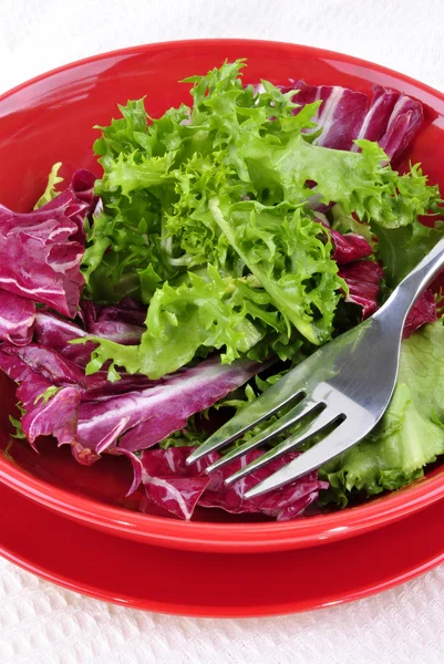 Ensalada de temporada en un tazón rojo listo para comer y un tenedor — Foto de Stock