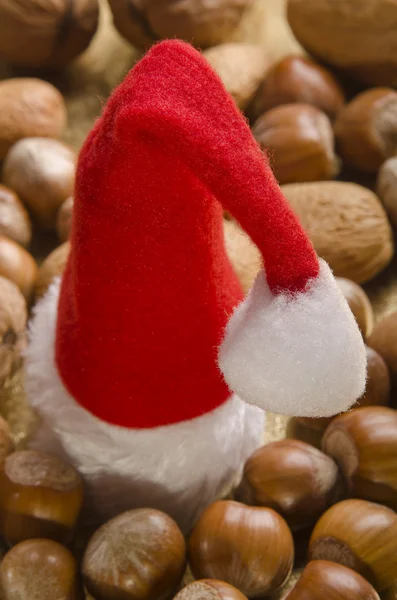 Santa şapka ve çeşitli fındık ile Noel Tema — Stok fotoğraf