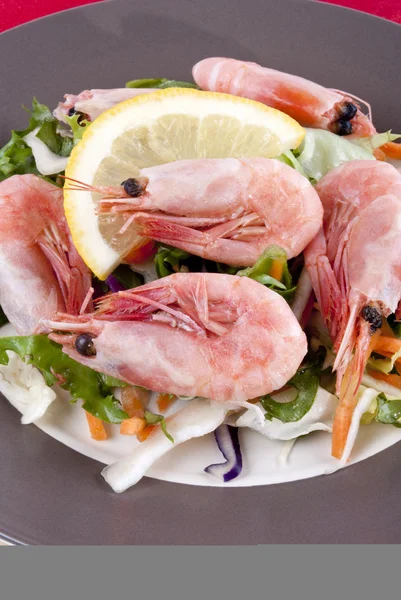 신선한 계절 salat에 레몬 슬라이스 새우 — 스톡 사진