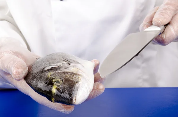 Kvinnliga kock skär upp en havsruda innan stekning — Stockfoto