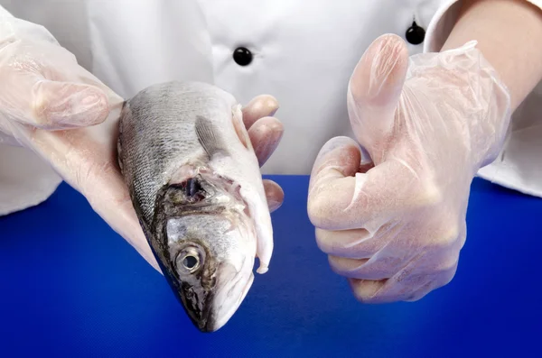 Chef fêmea mostra seu polegar sobre a qualidade de um mar fresco bas — Fotografia de Stock