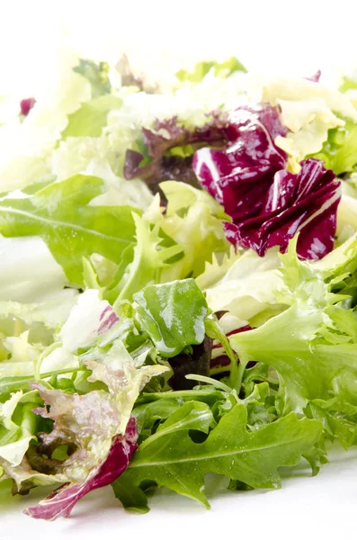 Свежевымытый, смешанный итальянский салат и белый фон — стоковое фото