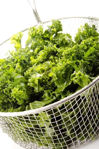 Washed and sliced curly kale in a colander — Stock Photo, Image