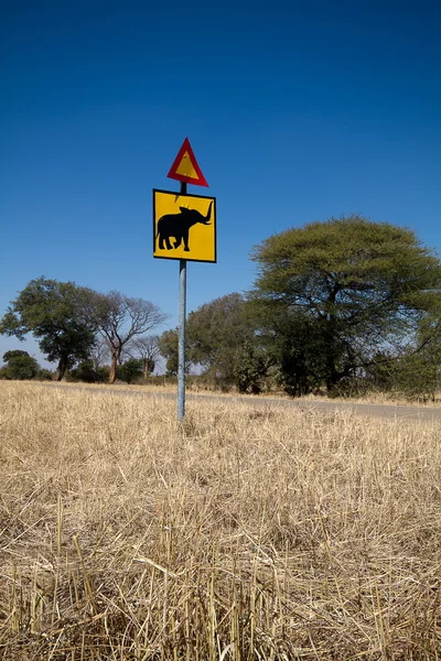 Elefantenkreuzung — Stockfoto