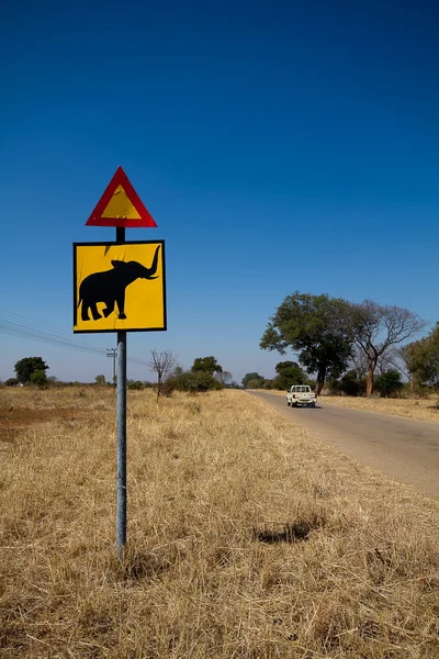 Elefantkorsning — Stockfoto