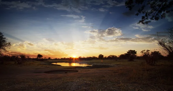 Afrikanska solnedgången över vattenhål — Stockfoto