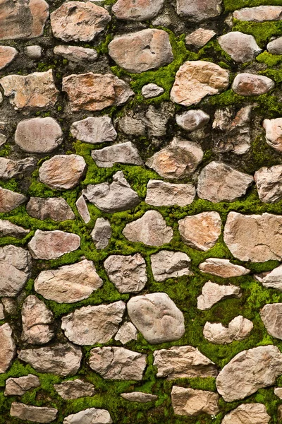 stock image Stone & Moss textured wall