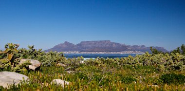 Cape Town View from Robben Island clipart