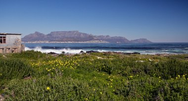 Cape Town View from Robben Island clipart