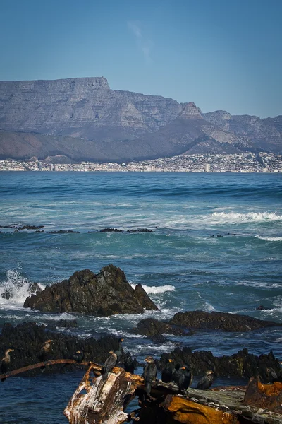 Ciudad del Cabo Vista desde Robben Island — Foto de Stock