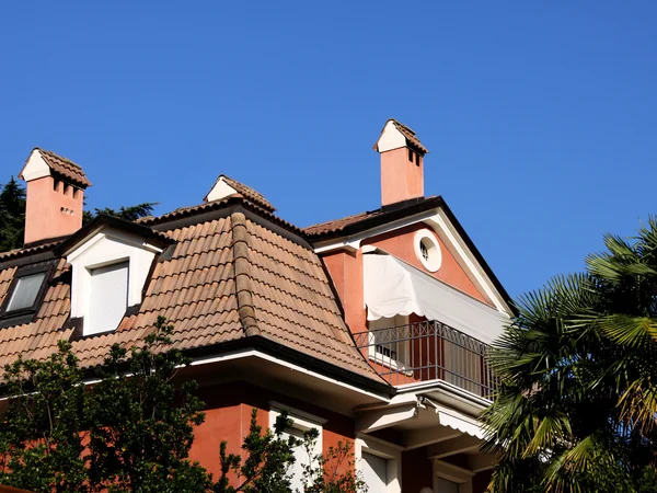 Roof of a house with palm — Stock Photo, Image
