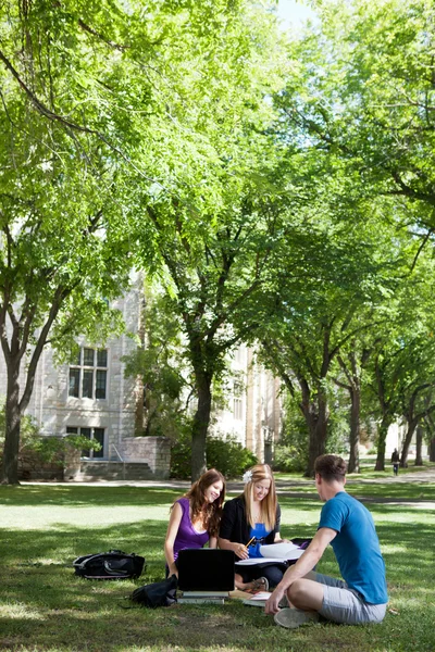 Studenten die buiten studeren — Stockfoto