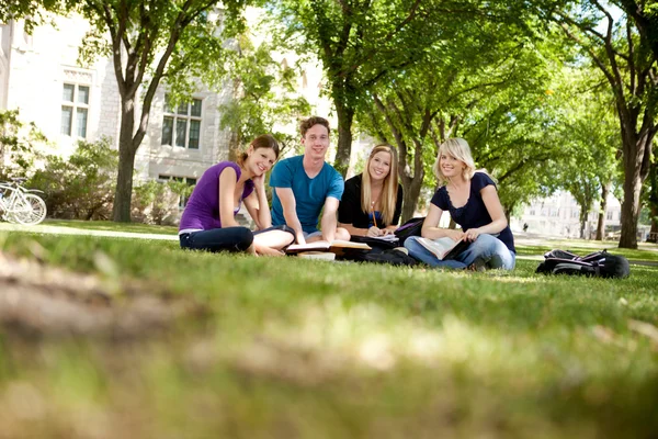 Happy Group of Students — Stock Photo, Image
