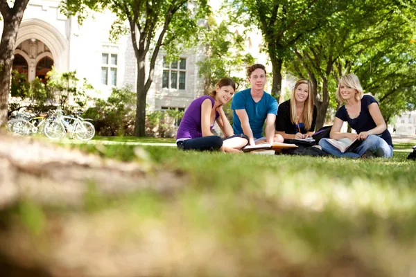 Happy Students on Campus Stock Photo