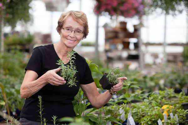 Vrouw bedrijf ingegoten planten — Stockfoto