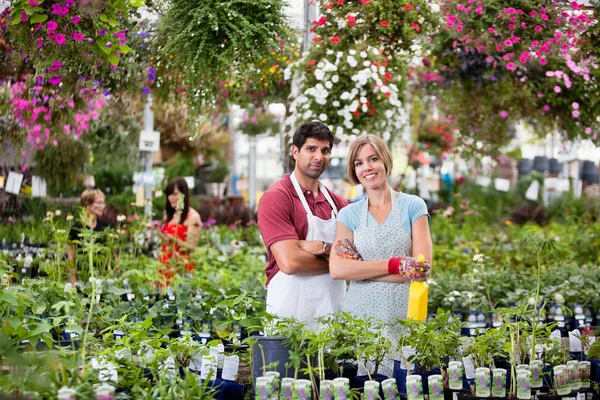 Florists at greenhouse — Stock Photo, Image