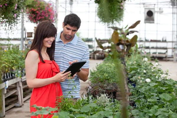 Par med digital tablet i växthus — Stockfoto