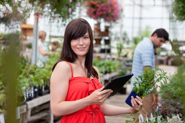 Женщина с планшетным ПК и растением в горшке — стоковое фото