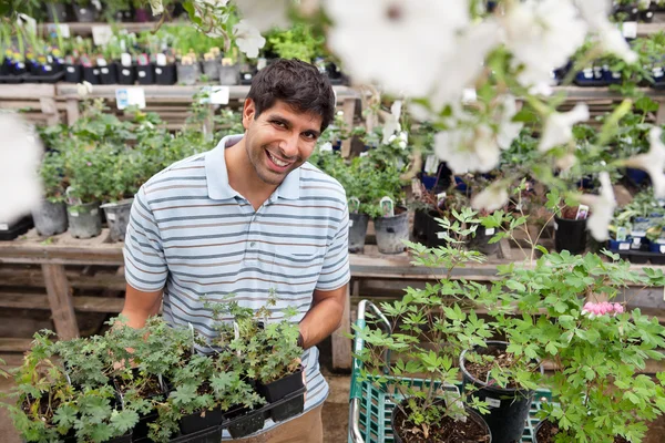 Man holding rack of potted plants — Stock Photo, Image