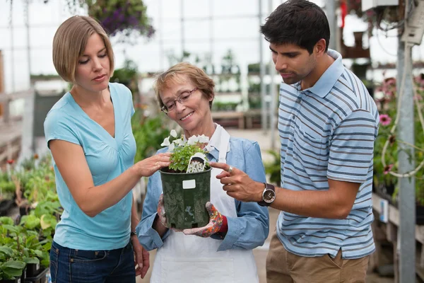 Couple shopping for plants — Stock Photo, Image