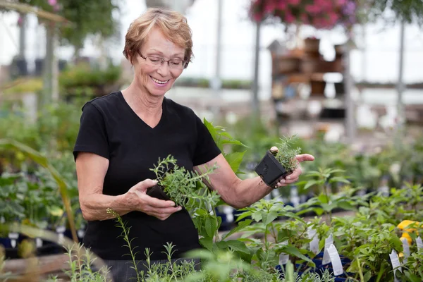 Vrouw bij plant kwekerij — Stockfoto