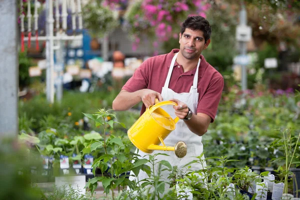 Giovane uomo irrigazione piante — Foto Stock