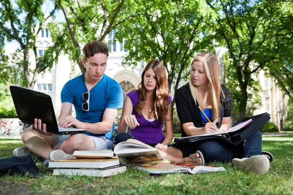 Grupo de estudantes que estudam juntos — Fotografia de Stock