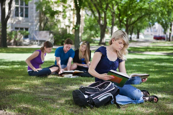Estudantes universitários estudando — Fotografia de Stock