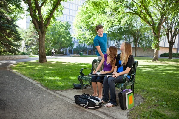 Estudiantes estudiando en el campus —  Fotos de Stock