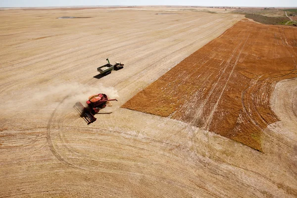 Graan kar en combineren op prairie veld — Stockfoto