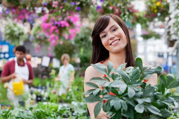 Attractive female customer holding potted plant — Stock Photo, Image
