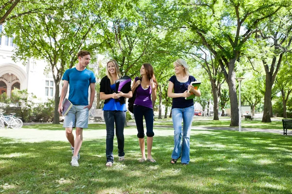 Group of college students — Stock Photo, Image